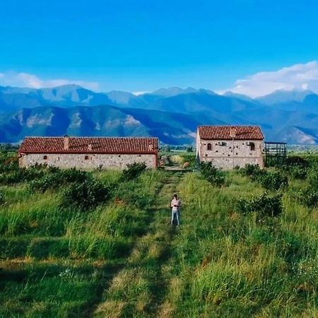 Mestvireni Telavi Exteriér fotografie