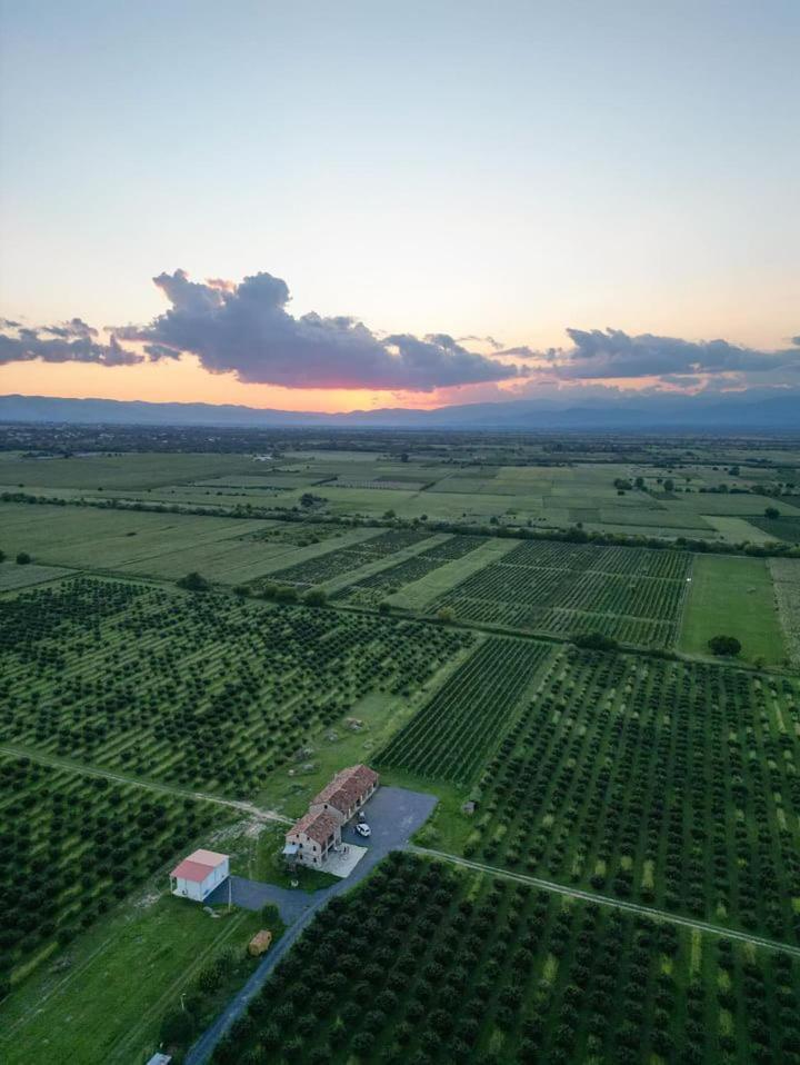 Mestvireni Telavi Exteriér fotografie
