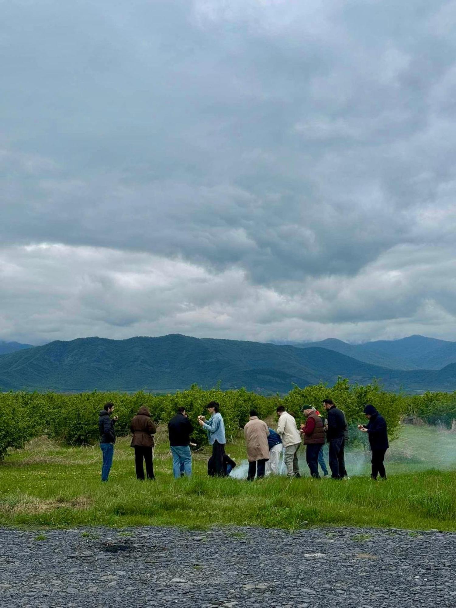 Mestvireni Telavi Exteriér fotografie