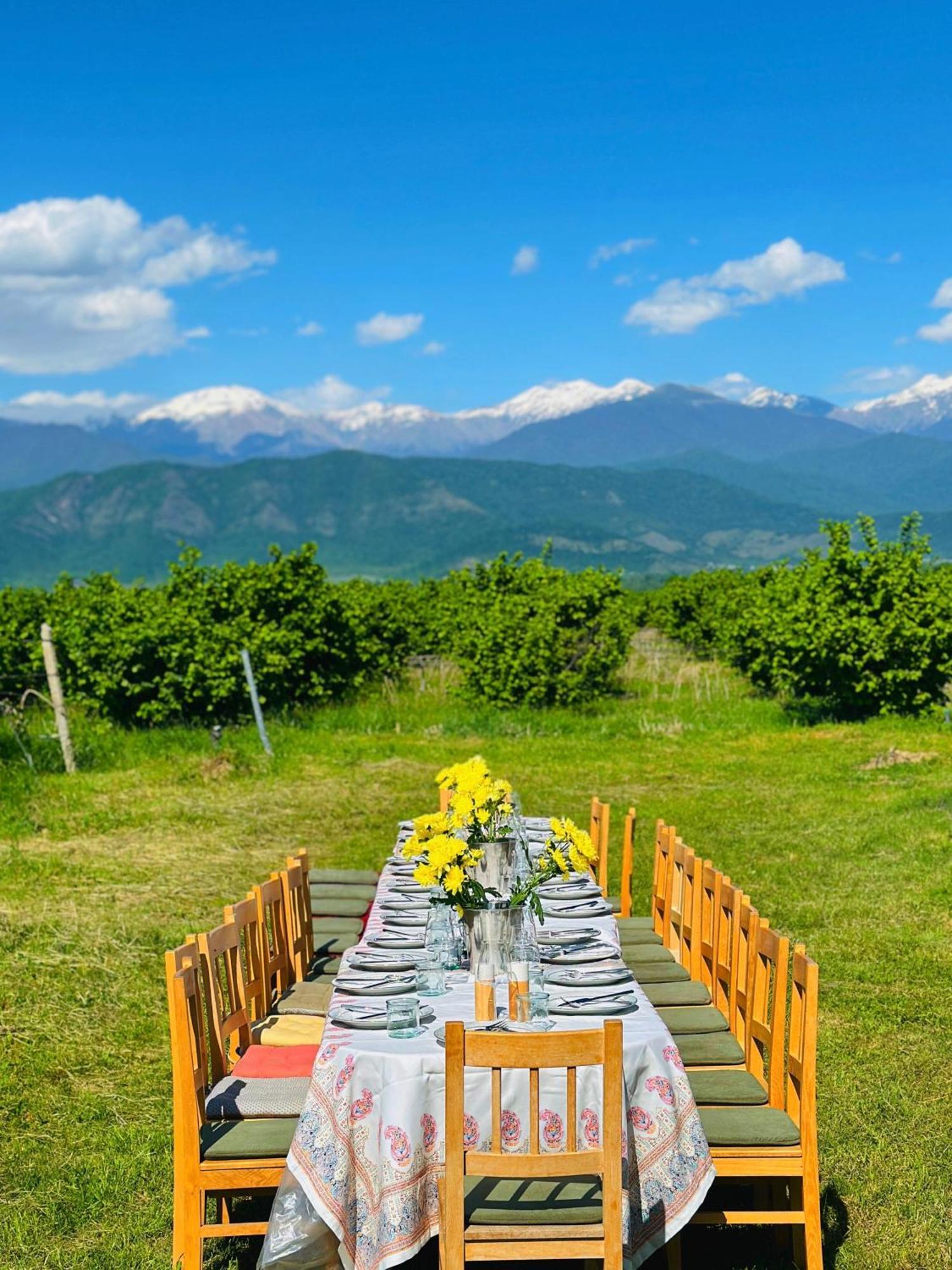 Mestvireni Telavi Exteriér fotografie