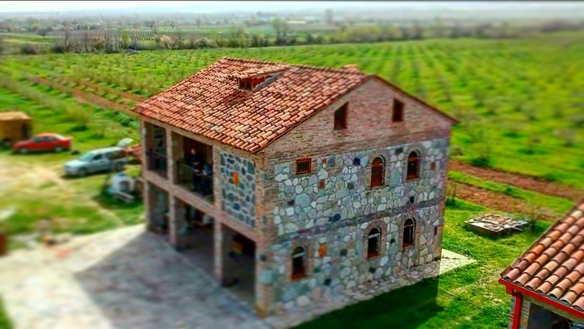 Mestvireni Telavi Exteriér fotografie