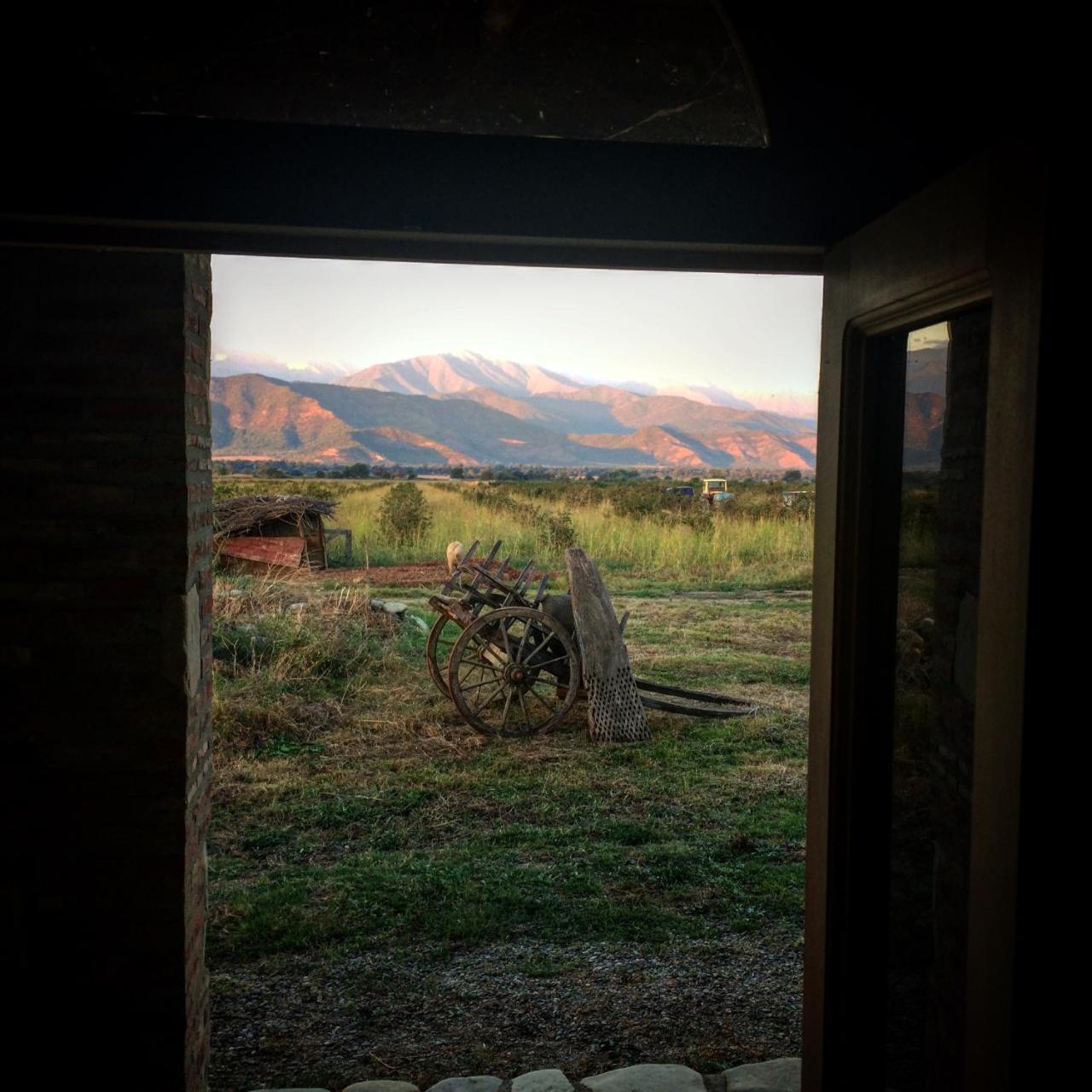 Mestvireni Telavi Exteriér fotografie