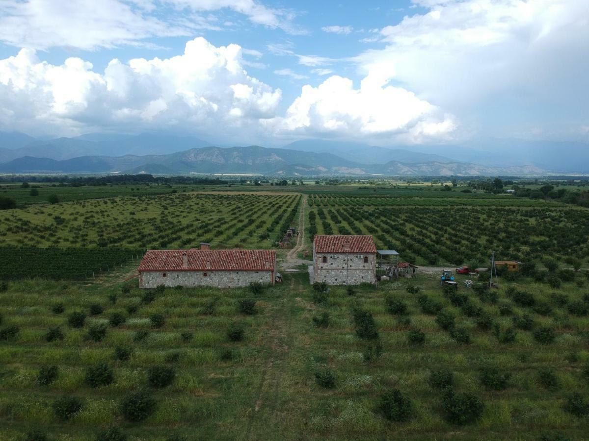 Mestvireni Telavi Exteriér fotografie